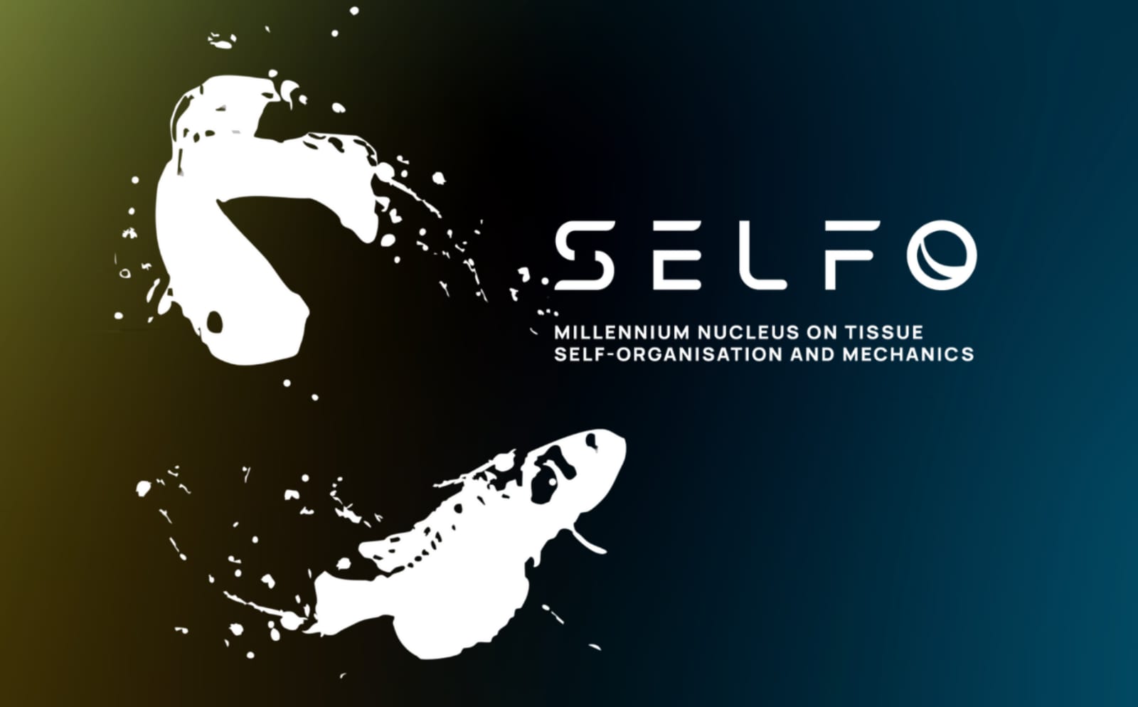 Núcleo Milenio SELFO